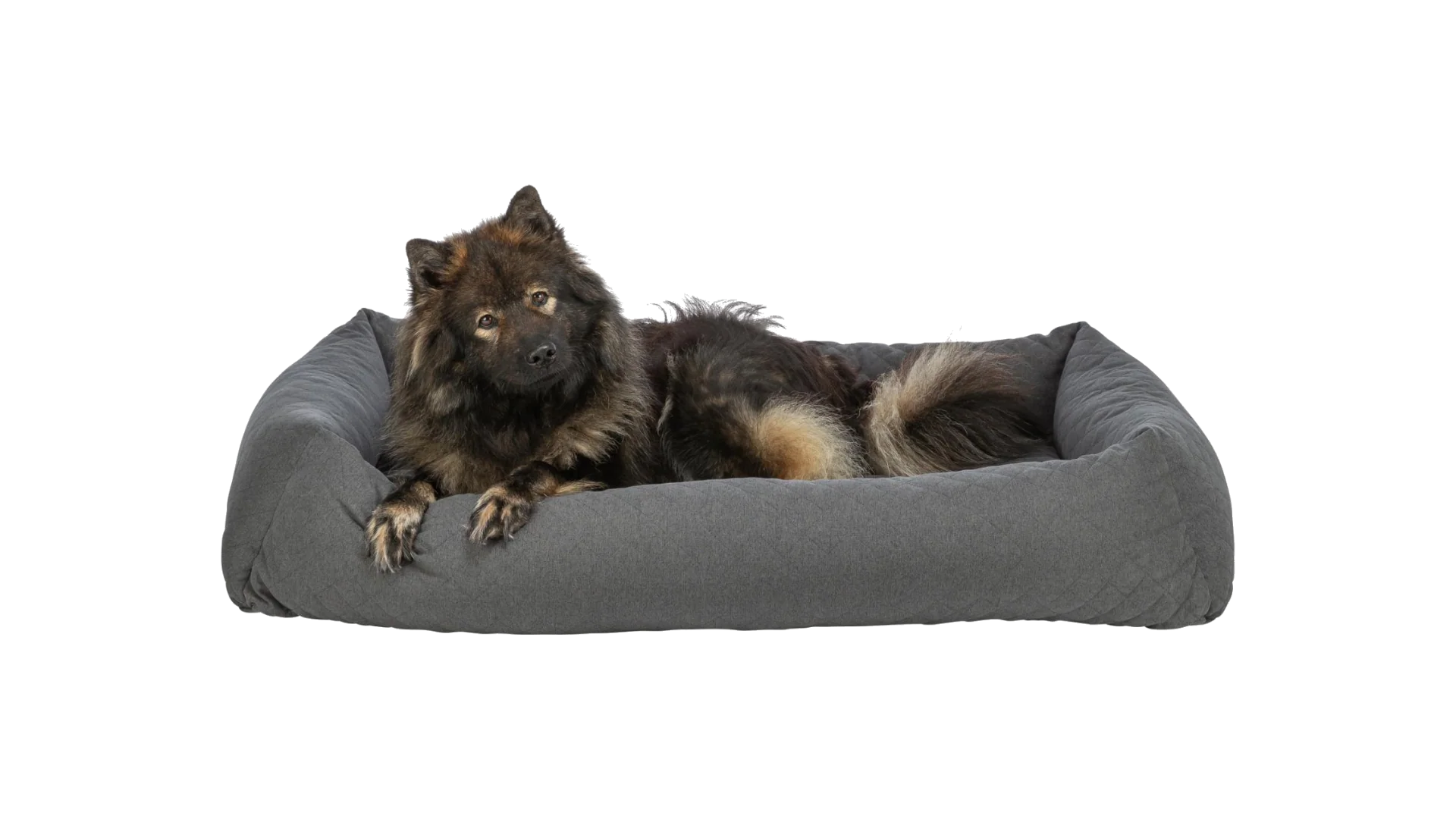 Allergivenlig hundeseng vaskbar 95 grader til følsom hud - Image 6