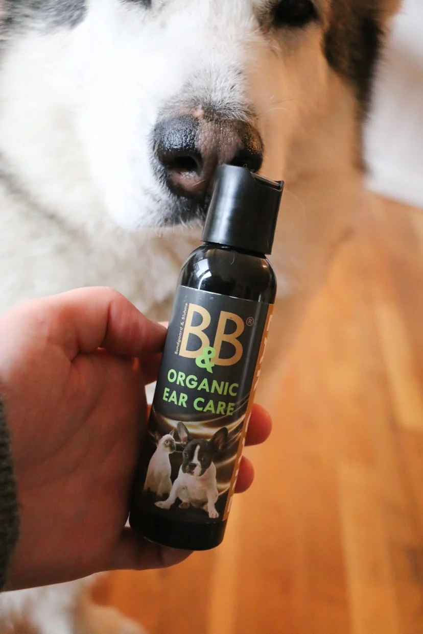 B&B Ørepleje til hunde og katte - Image 3