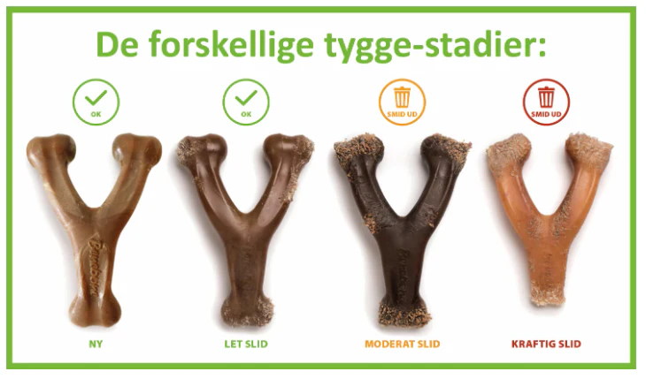 Tyggeben til hunde - Benebone Fishbone - Image 4