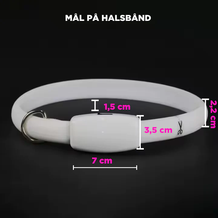 Lyshalsbånd- blinkende Hundehalsbånd med Farveskift – Perfekt til Natlige Gåture - Image 2