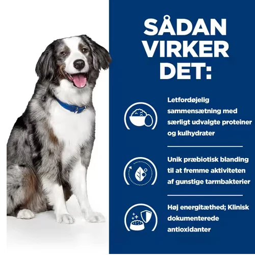 Hill's PRESCRIPTION DIET i/d Sensitive Digestive Care tørfoder til hunde med æg & ris - Image 4