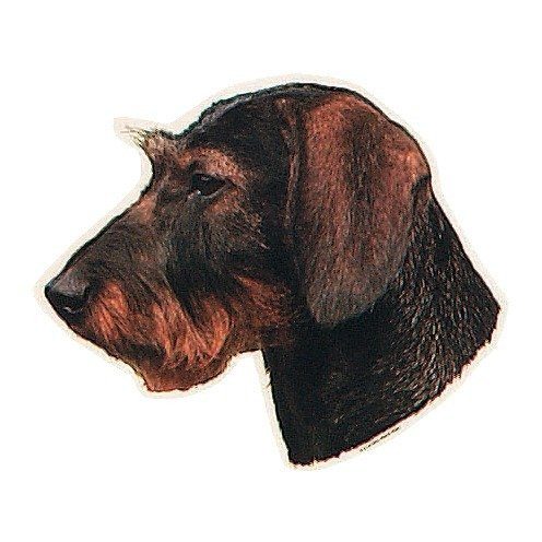 Dekal Ruhåret gravhund