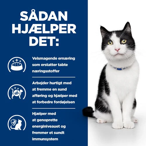 Hill's Prescription Diet i/d vådfoder til katte med mavetarmsygdomme 12x85g - Image 4