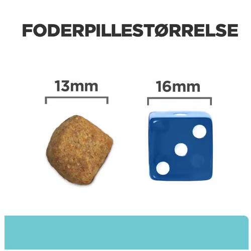Miniaturebillede 2