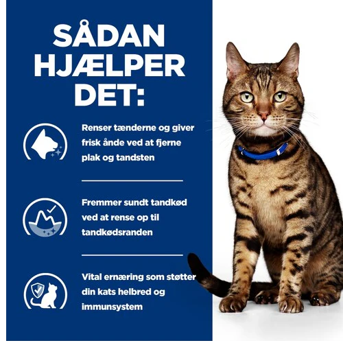 Hill's PRESCRIPTION DIET t/d Dental Care tørfoder til katte med kylling - Image 3