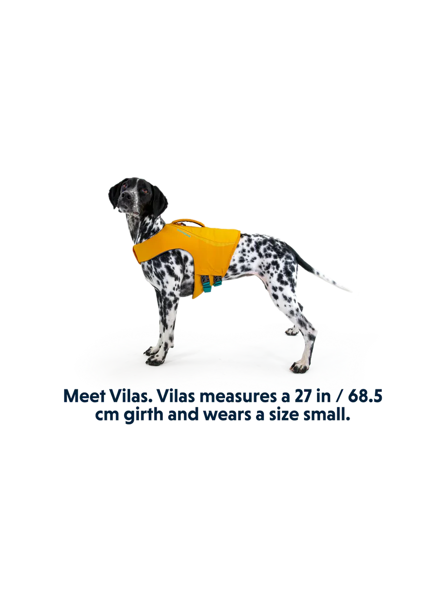 Float Coat Life Jacket fra Ruffwear – perfekt til aktive hunde - Image 6