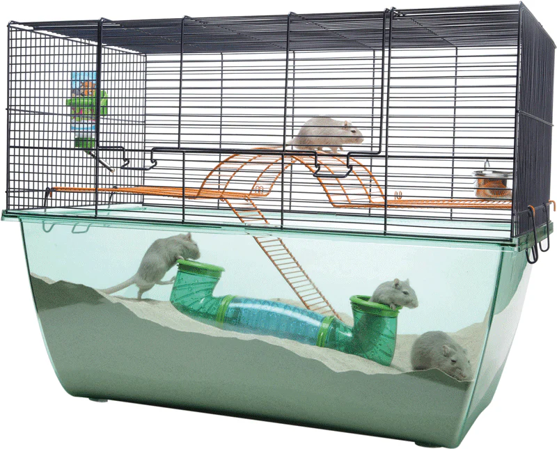 Gnaverbur, Habitat XL