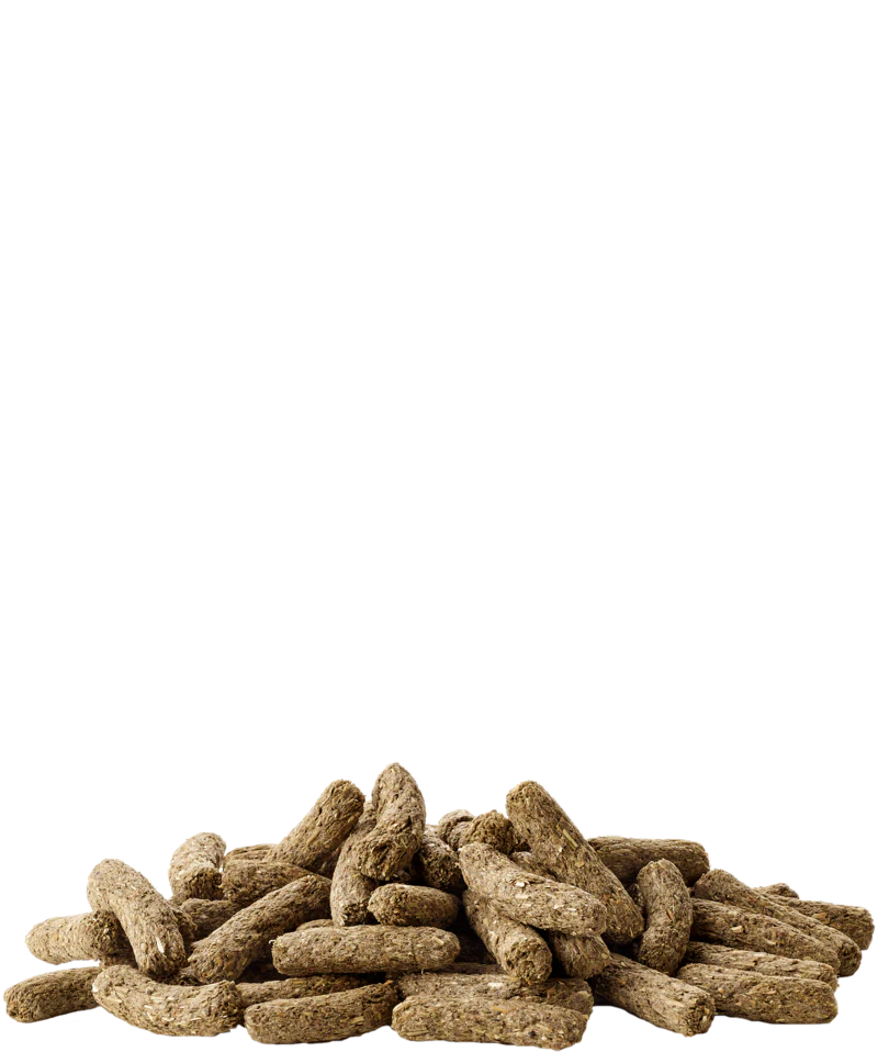 Gnaverfoder til kaniner 8kg - Complete Cuni fra Versele-laga - Image 2
