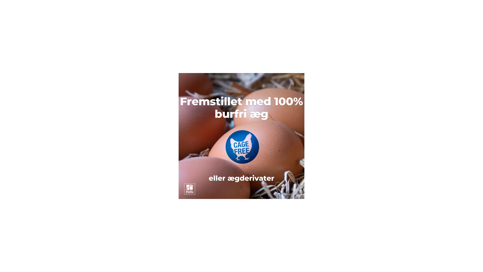 Hill's PRESCRIPTION DIET Derm Defense Environmental Sensitivities tørfoder til hunde med kylling - Image 3