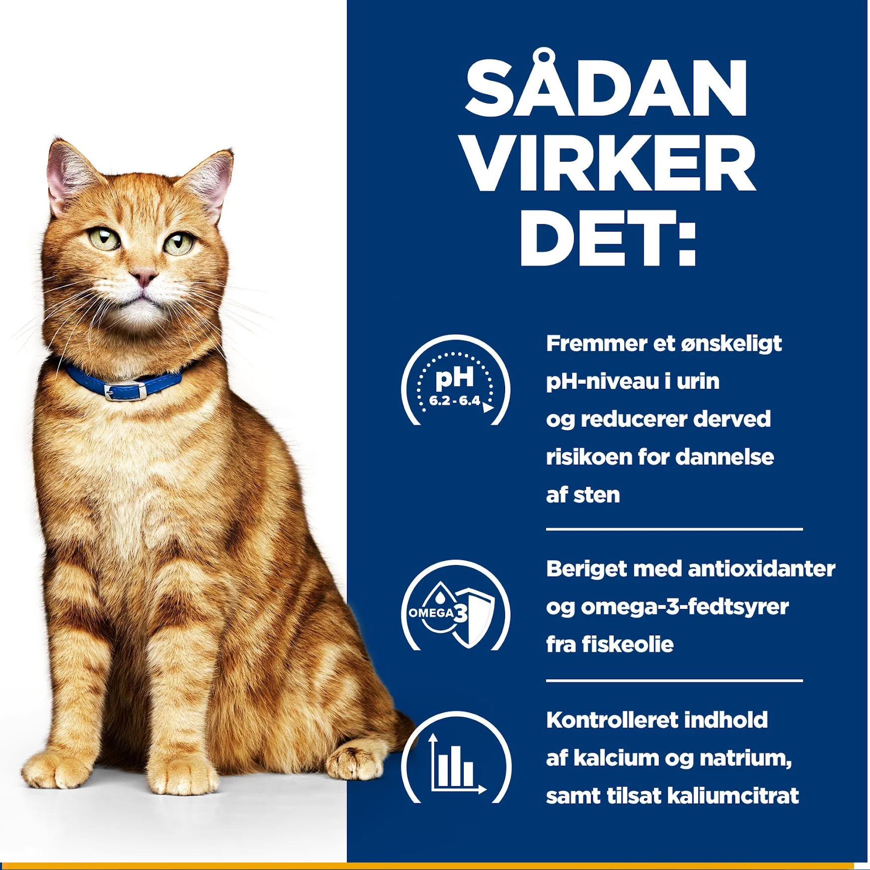 Hill's PRESCRIPTION DIET c/d Multicare Urinary Care kattefoder med kylling - 156g - Image 10