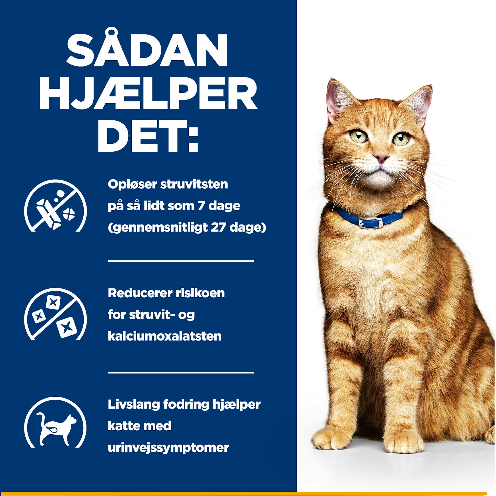 Hill's PRESCRIPTION DIET c/d Multicare Urinary Care kattefoder med kylling - 156g - Image 8