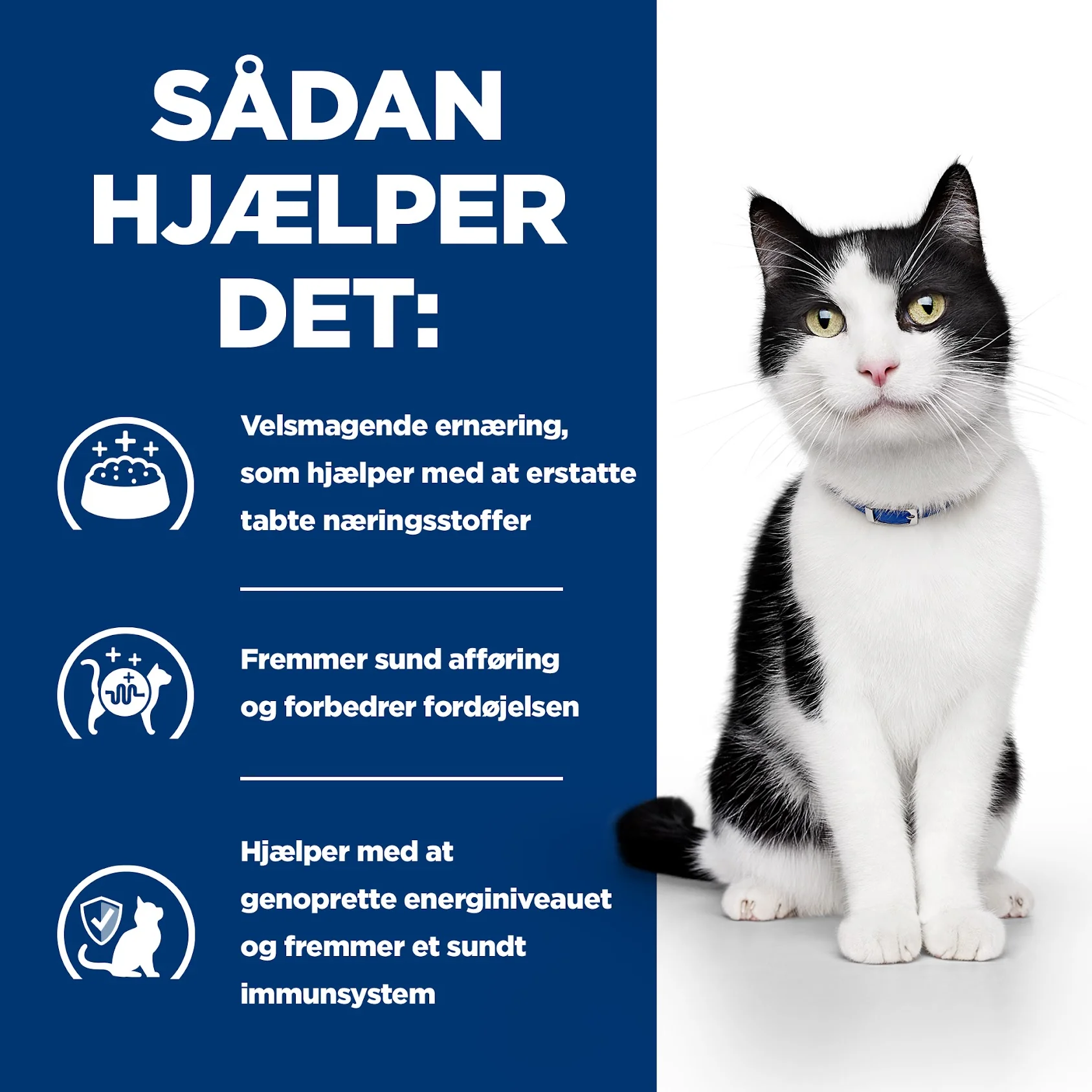 Hill's PRESCRIPTION DIET i/d Stew kattefoder med kylling & grøntsager - Image 7