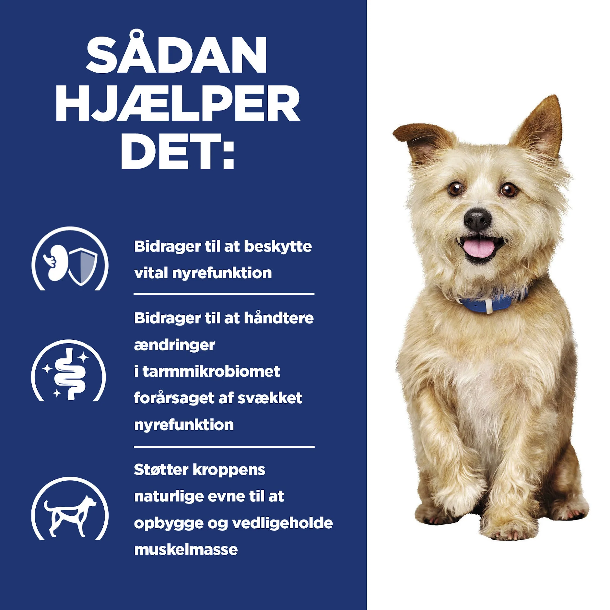 Hill's PRESCRIPTION DIET k/d Kidney Care Stew hundefoder med kylling og tilsatte grøntsager - Image 11