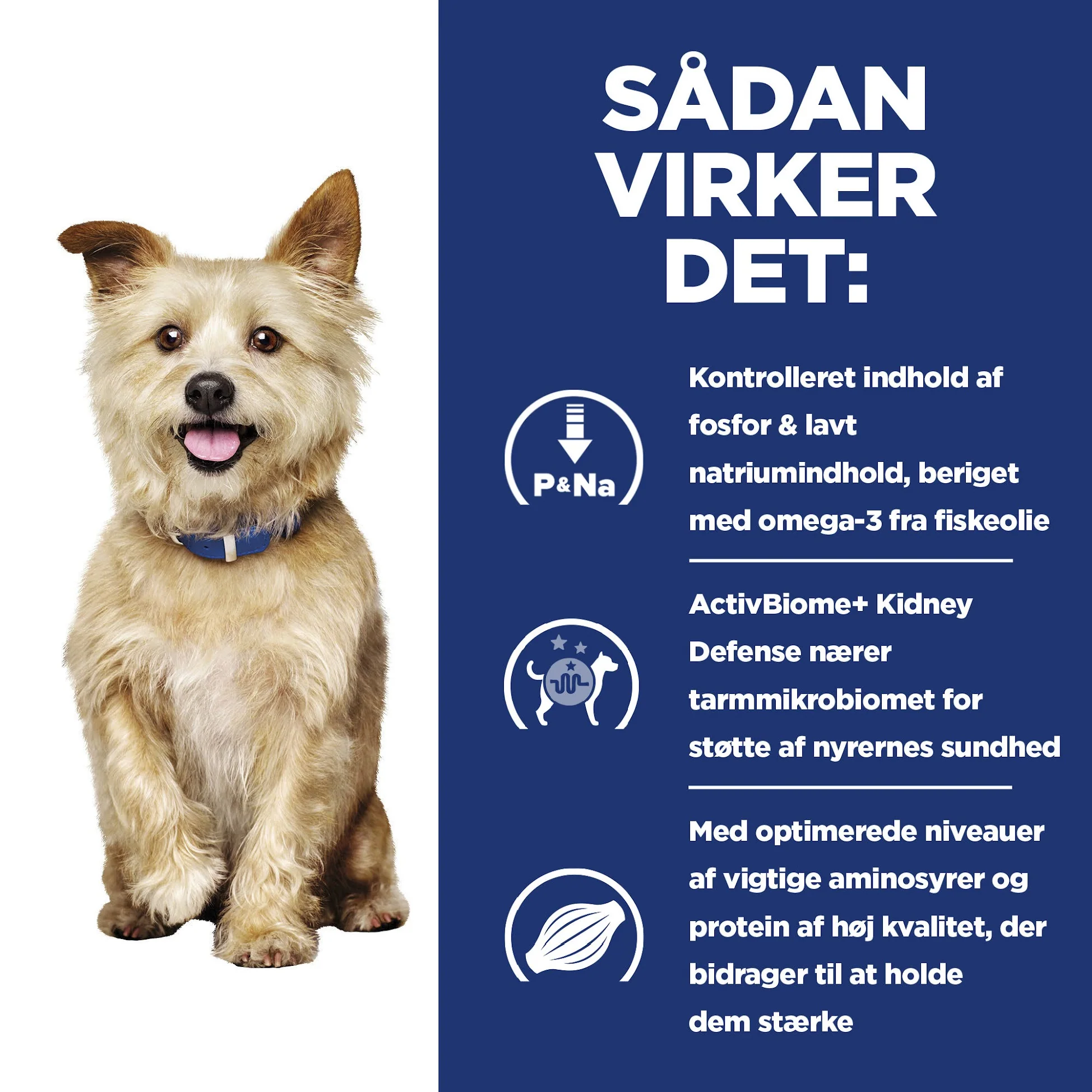 Hill's PRESCRIPTION DIET k/d Kidney Care Stew hundefoder med kylling og tilsatte grøntsager - Image 12