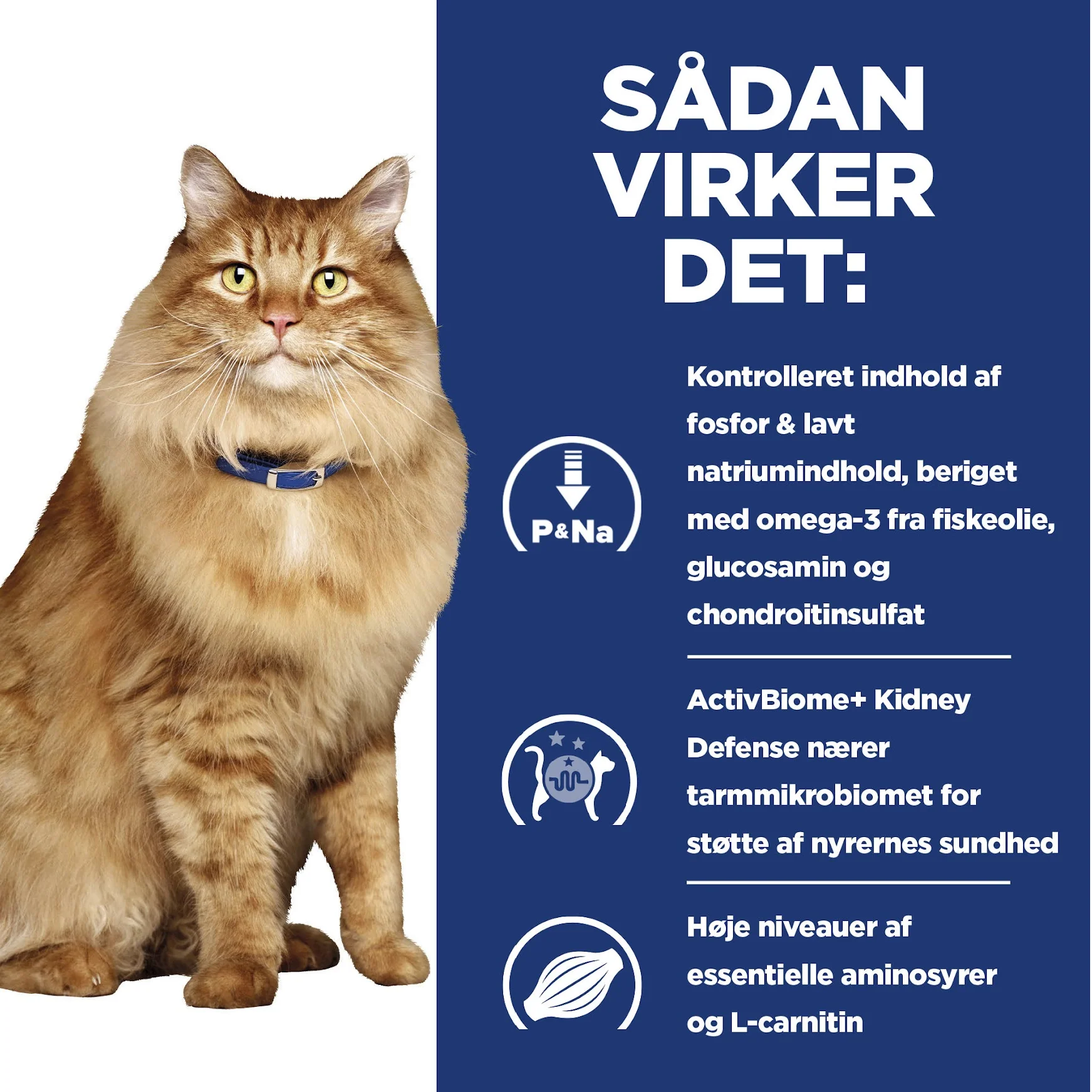 Hill's PRESCRIPTION DIET k/d + Mobility vådfoder til katte med kylling - 12x85g portionsposer - Image 12