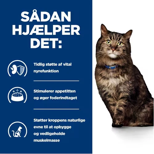 Hill’s PRESCRIPTION DIET k/d Early Stage tørfoder til katte med kylling - Nyrepleje i tidligt stadie - Image 12