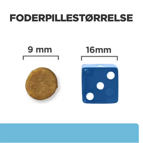 Miniaturebillede 2