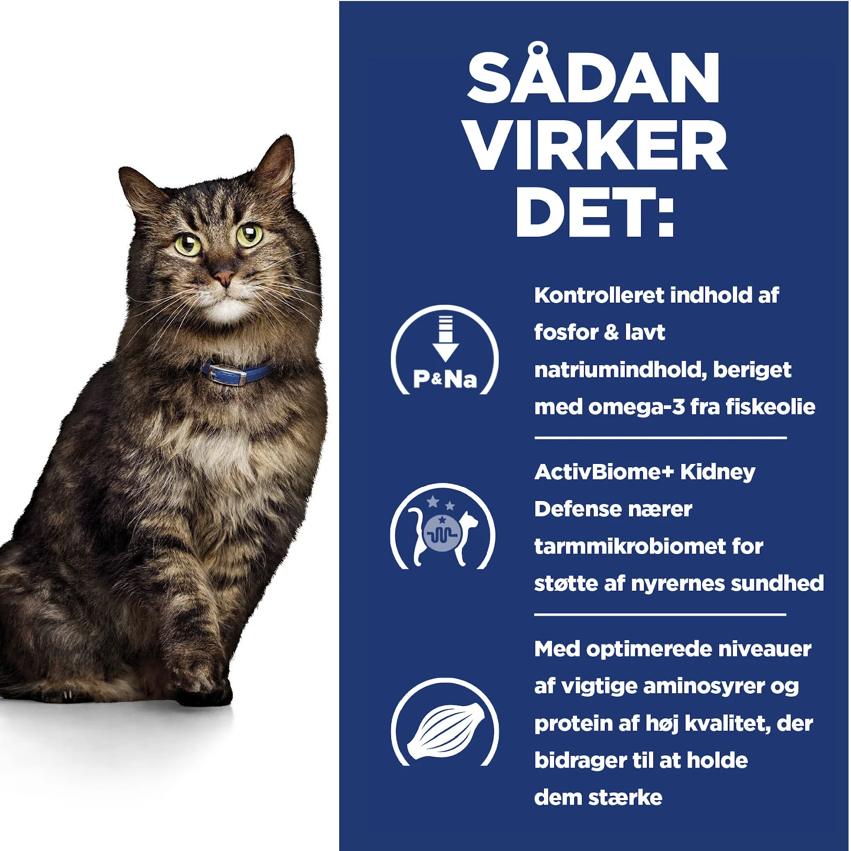 Hill’s PRESCRIPTION DIET k/d Early Stage vådfoder 12x85g til katte med kylling - Nyrepleje i tidligt stadie - Image 10