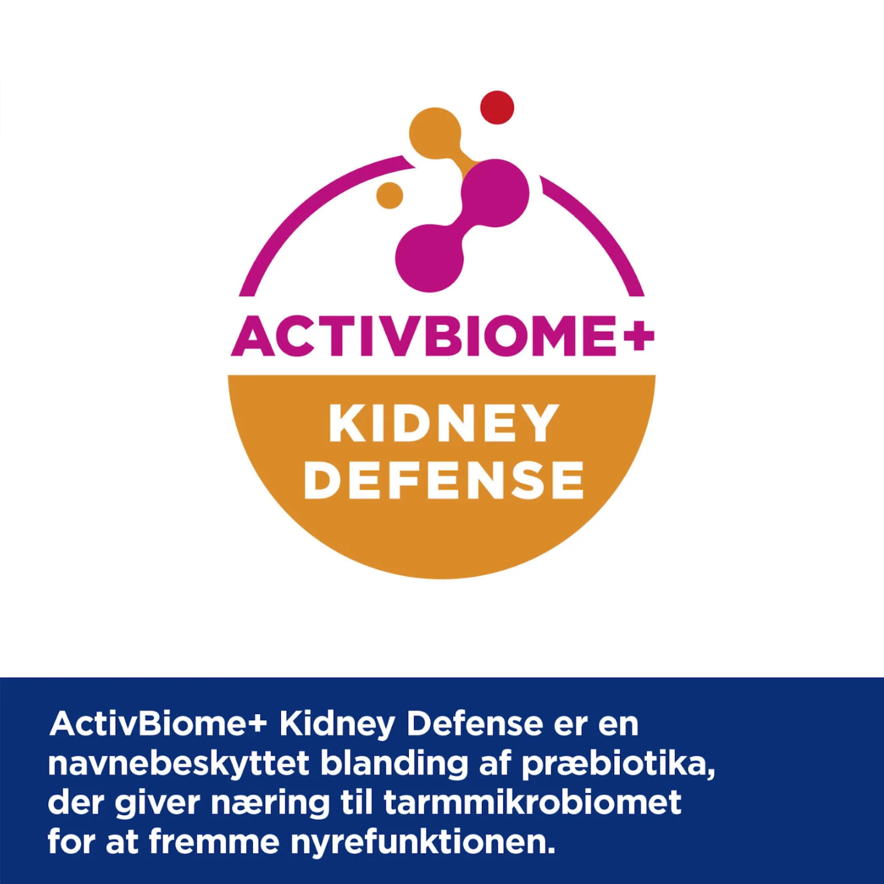 Hill's PRESCRIPTION DIET k/d Kidney Care vådfoder til katte - portionsposer 12x85g - Image 11