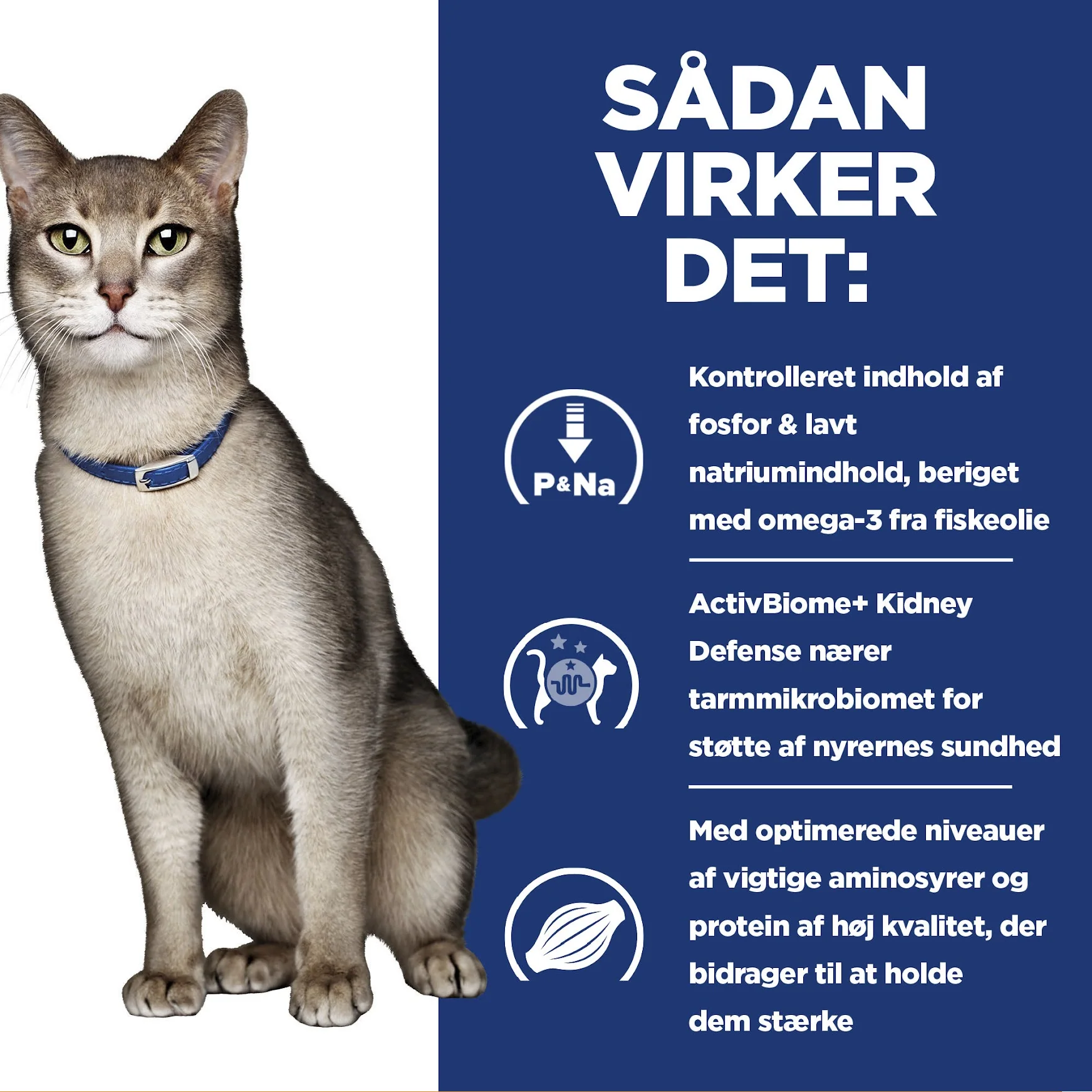 Hill's PRESCRIPTION DIET k/d Kidney Care vådfoder til katte - portionsposer 12x85g - Image 16