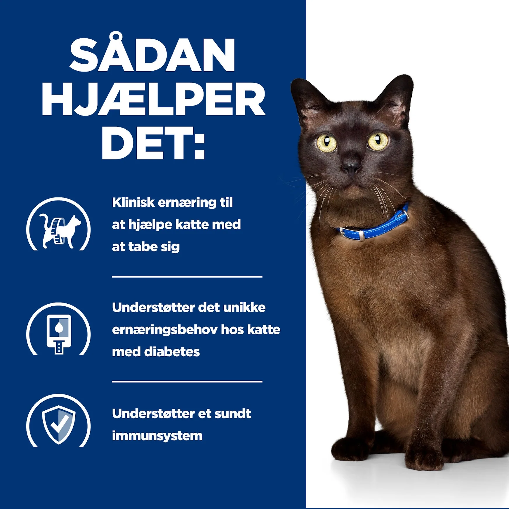 Hill's PRESCRIPTION DIET m/d Diabetes Care vådfoder til katte med lever 156g dåse - Image 8