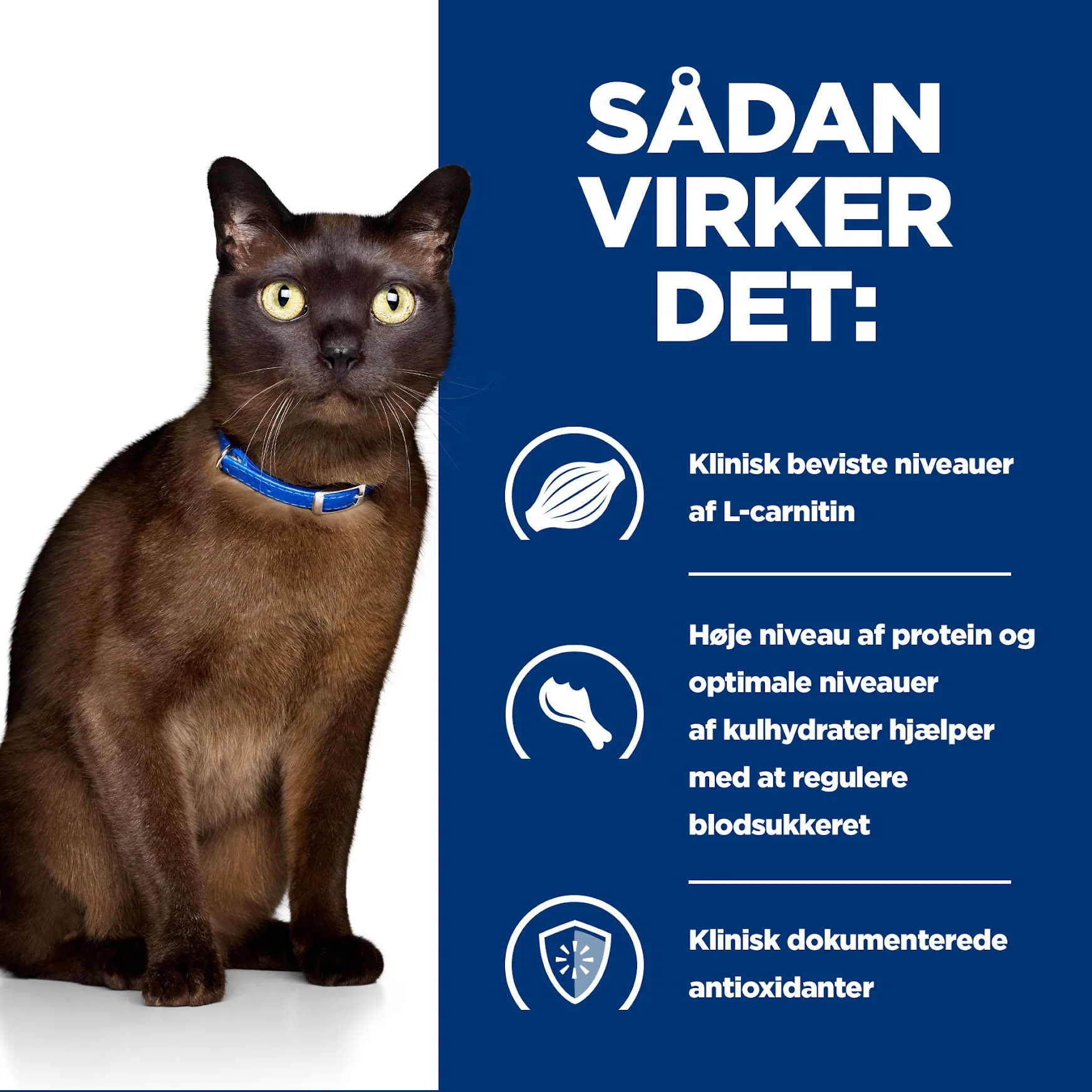 Hill's PRESCRIPTION DIET m/d Diabetes Care vådfoder til katte med lever 156g dåse - Image 9