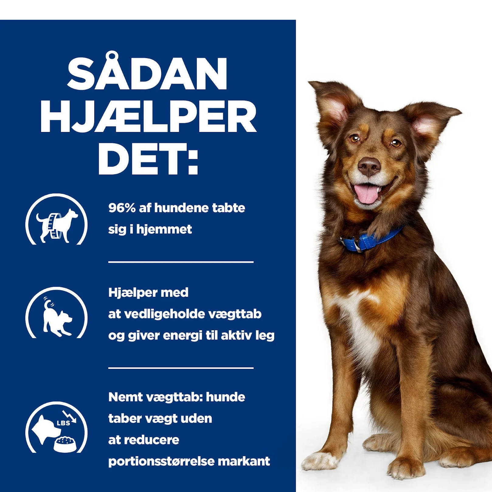 Hill's PRESCRIPTION DIET Metabolic Weight Management Stew hundefoder med kylling og tilsatte grøntsager 354g dåse - Image 8