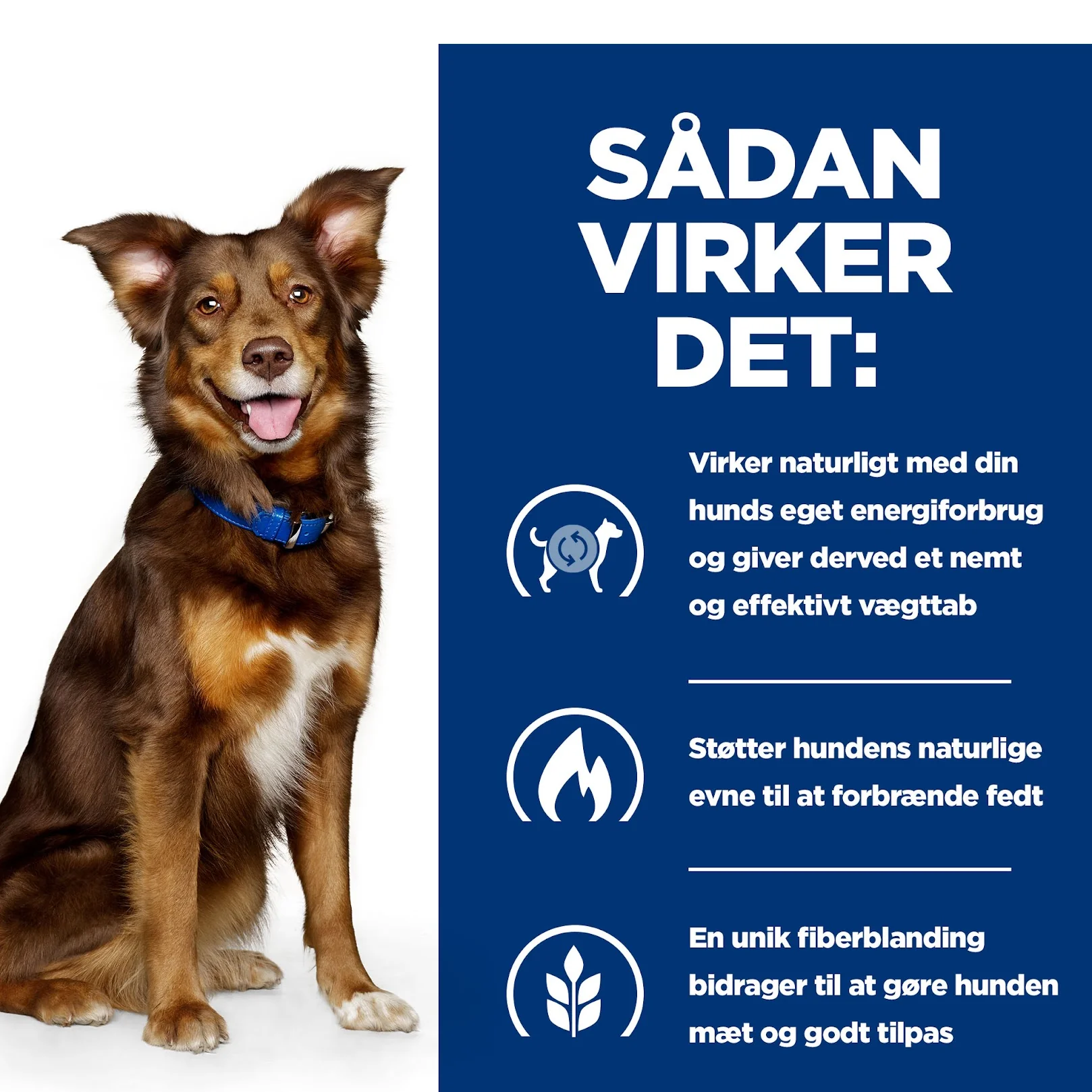 Hill's PRESCRIPTION DIET Metabolic Weight Management Stew hundefoder med kylling og tilsatte grøntsager 354g dåse - Image 9