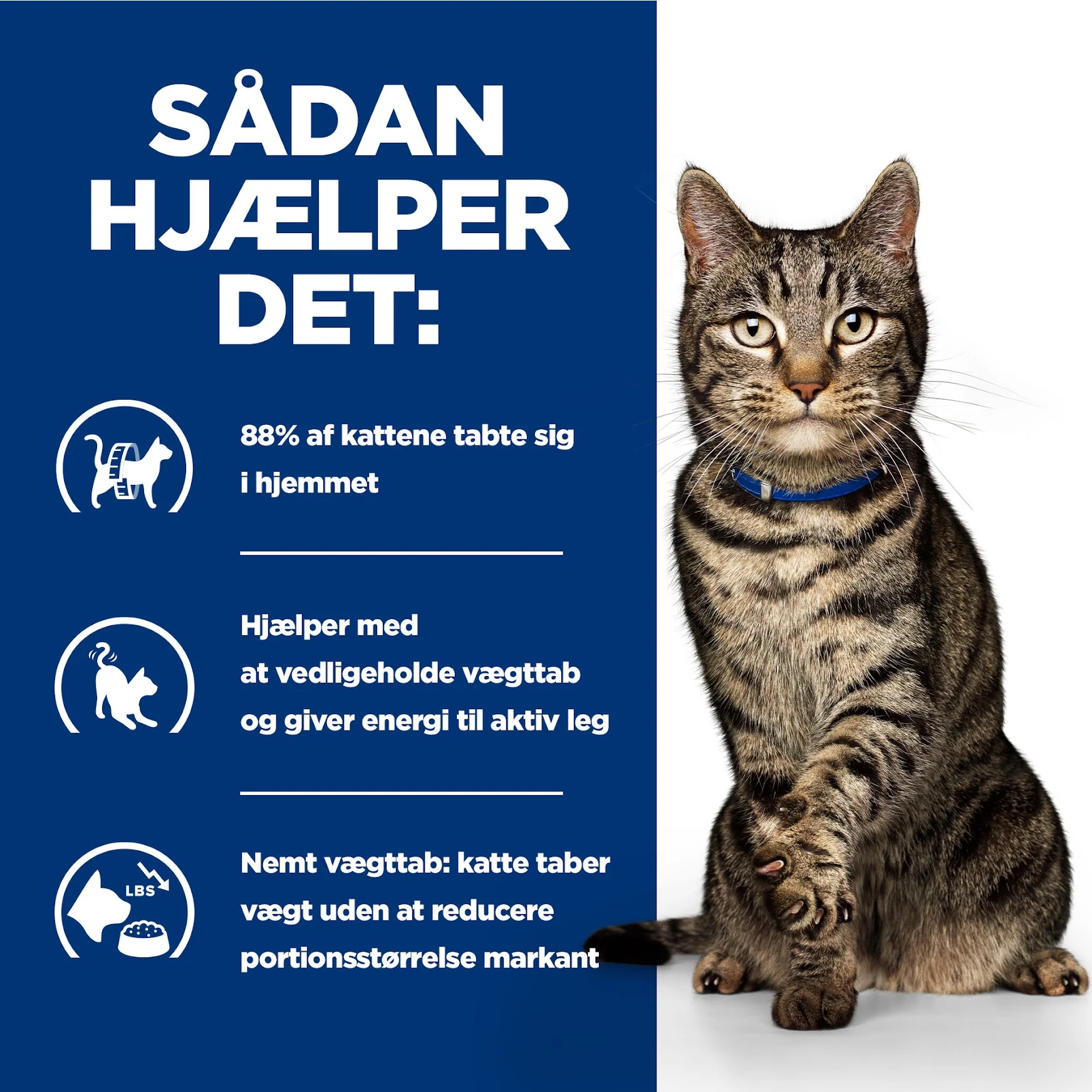 Hill’s PRESCRIPTION DIET Metabolic vådfoder til katte - vægttabsfoder med kylling eller havfisk - Image 10