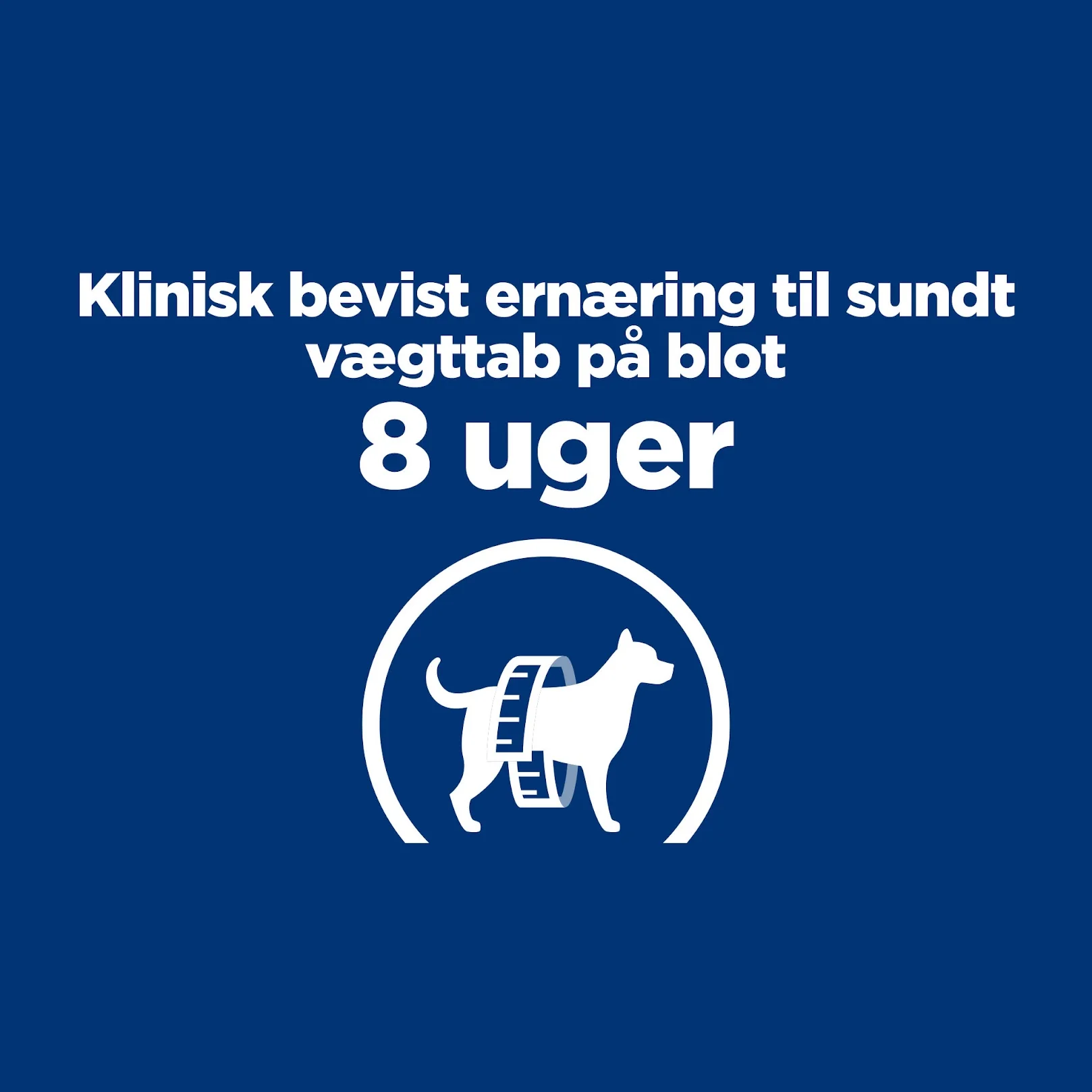 Hill's PRESCRIPTION DIET r/d Weight Reduction tørfoder til hunde med kylling - Image 6