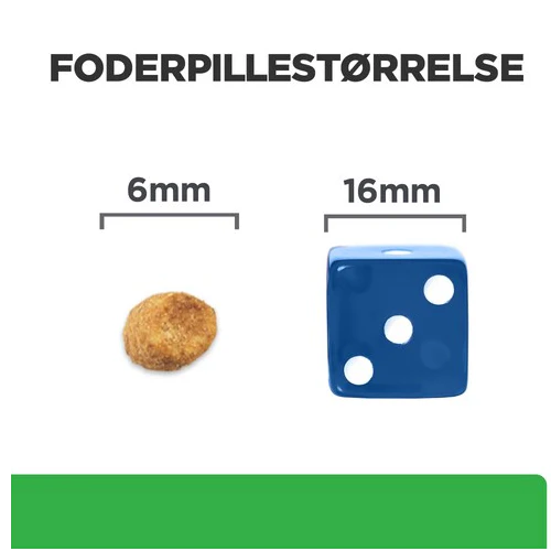 Miniaturebillede 2
