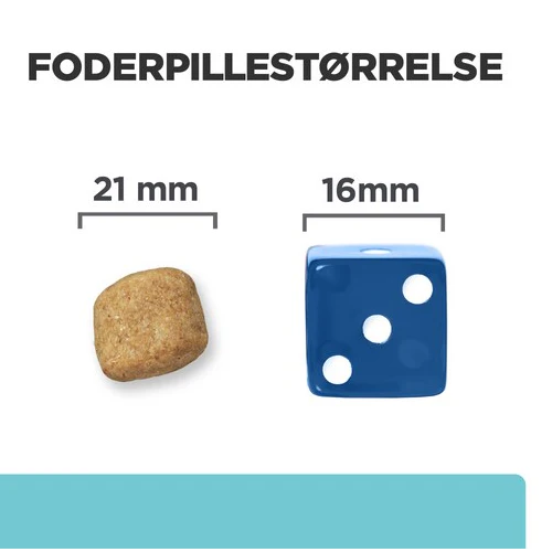 Miniaturebillede 2