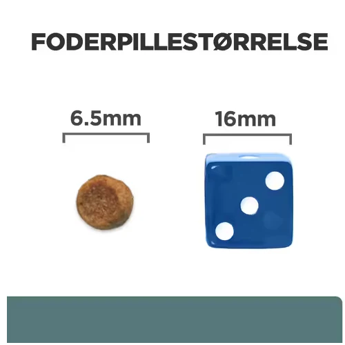 Miniaturebillede 2