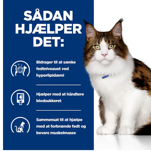 Hill's PRESCRIPTION DIET w/d Multi-Benefit tørfoder til katte med kylling - Image 3