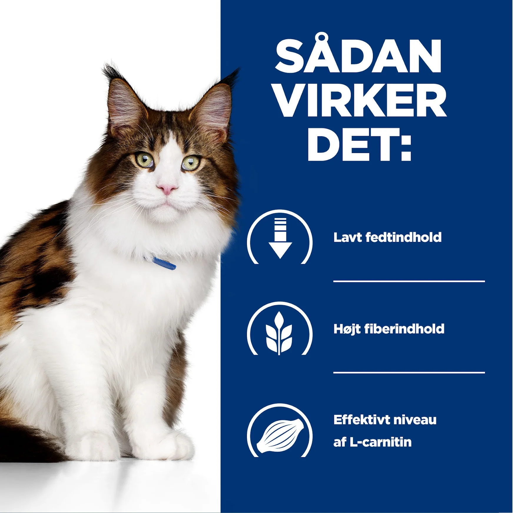 Hill's PRESCRIPTION DIET w/d Multi-Benefit kattefoder med kylling - 156g - Image 8