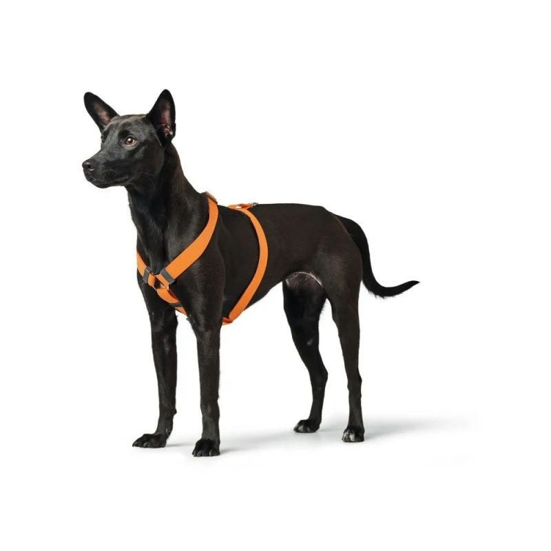 Hundesele fra Hunter, London, god til hvalpe - Lime - Image 3