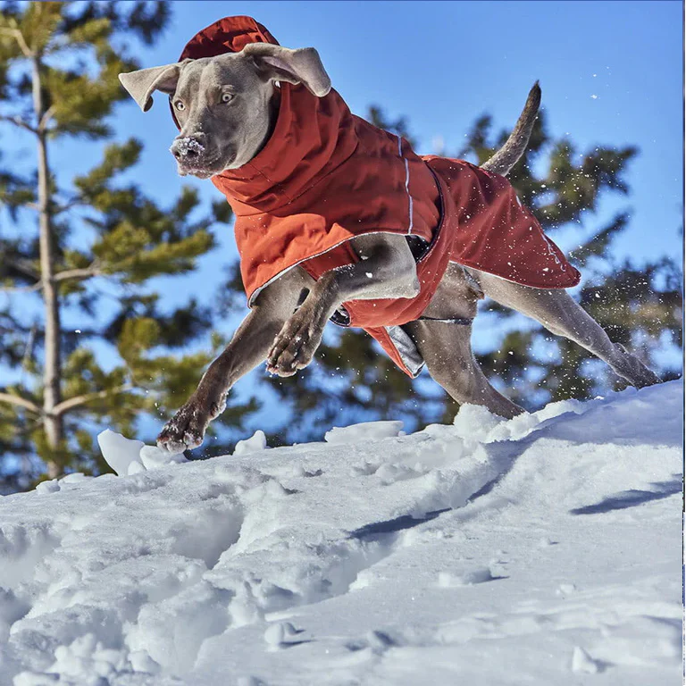 Hurtta Extreme Warmer III ECO – Vinterjakke til Hunde med Genbrugsmaterialer NYHED - Image 5