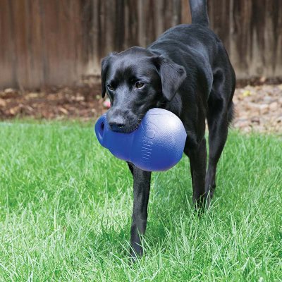 Kong Bounzer - Image 2