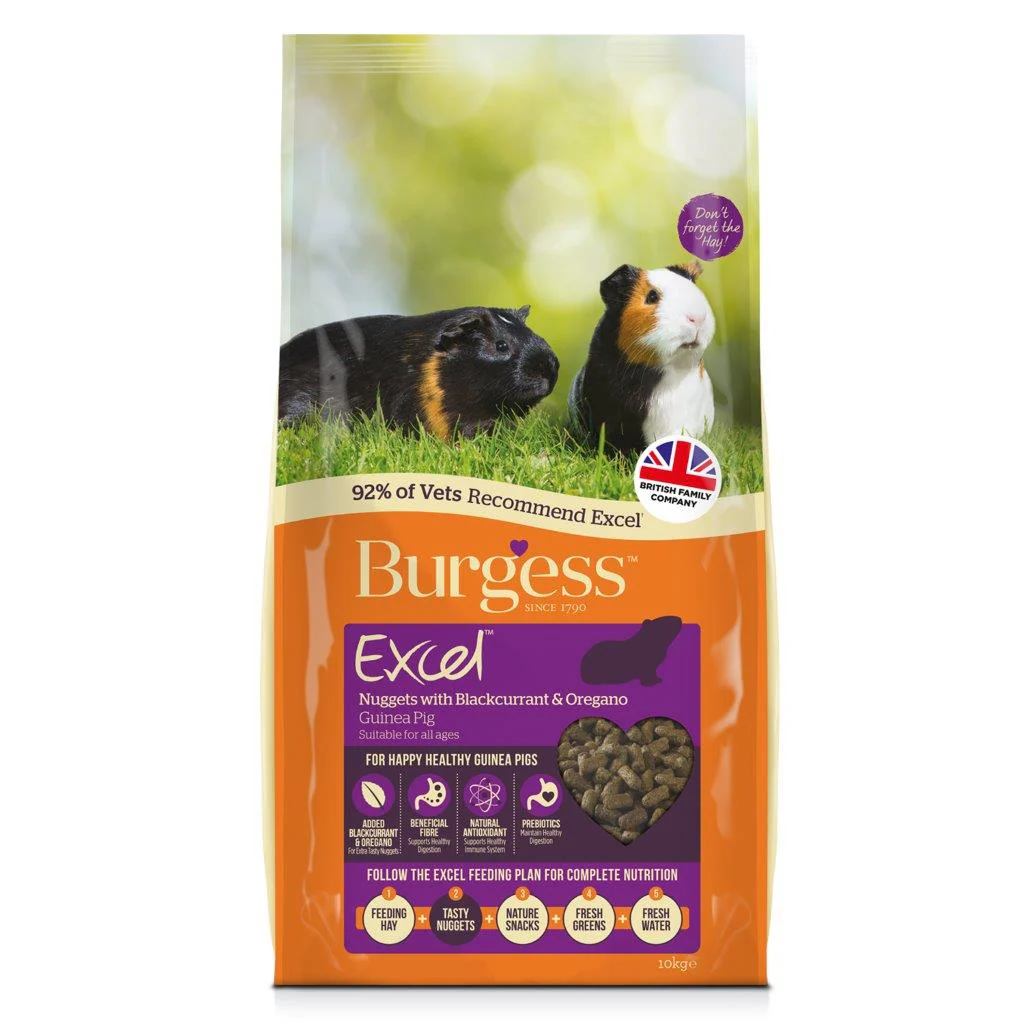 Marsvinfoder Burgess Excel, til alle aldre, solbær - Image 3