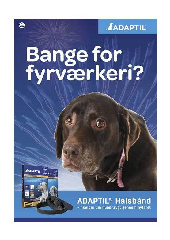 ADAPTIL calm Nytår, Køresyge - Feromoner til hunde/hvalpe, Adaptil til stik kontakten - Image 3