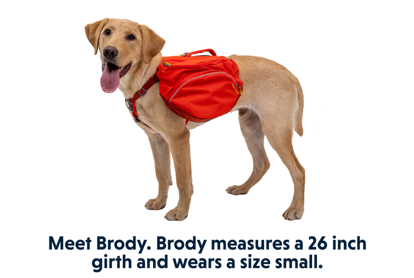 Palisades Pack fra Ruffwear – perfekt til aktive hunde - Image 12