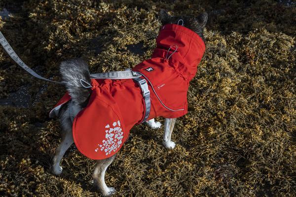 Hurtta Monsoon Regndækken til Hunde – Vandtæt og Komfortabelt i Flere Farver - Image 12