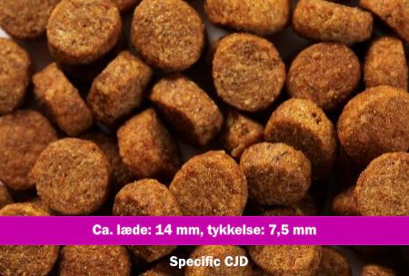 Miniaturebillede 2