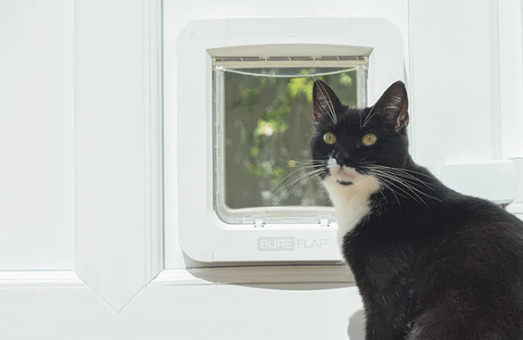 SureFlap Microchip Pet Door Connect kattelem og hundelem - Med mulighed for App! - Image 4