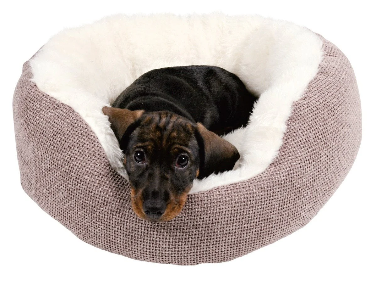 Hundeseng "Yuma"