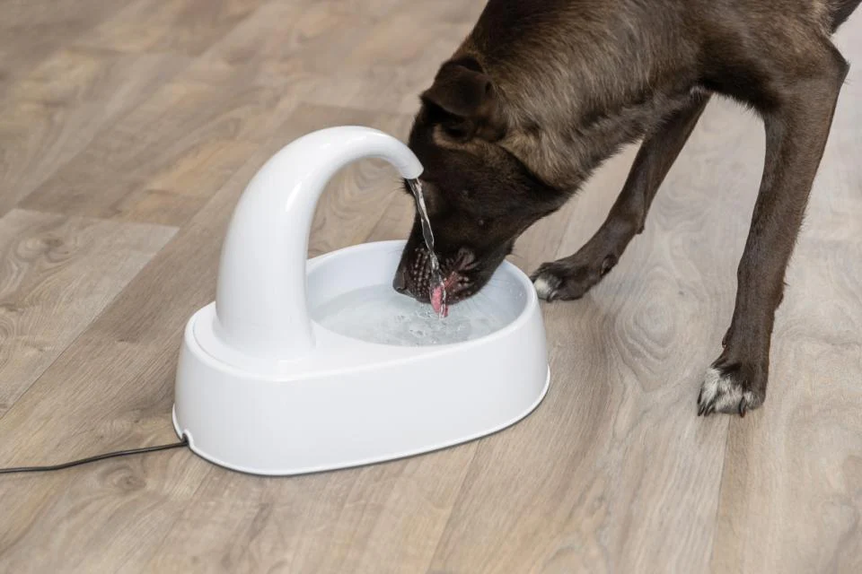 Vanddrikke fontaine, 2,5L - Image 3