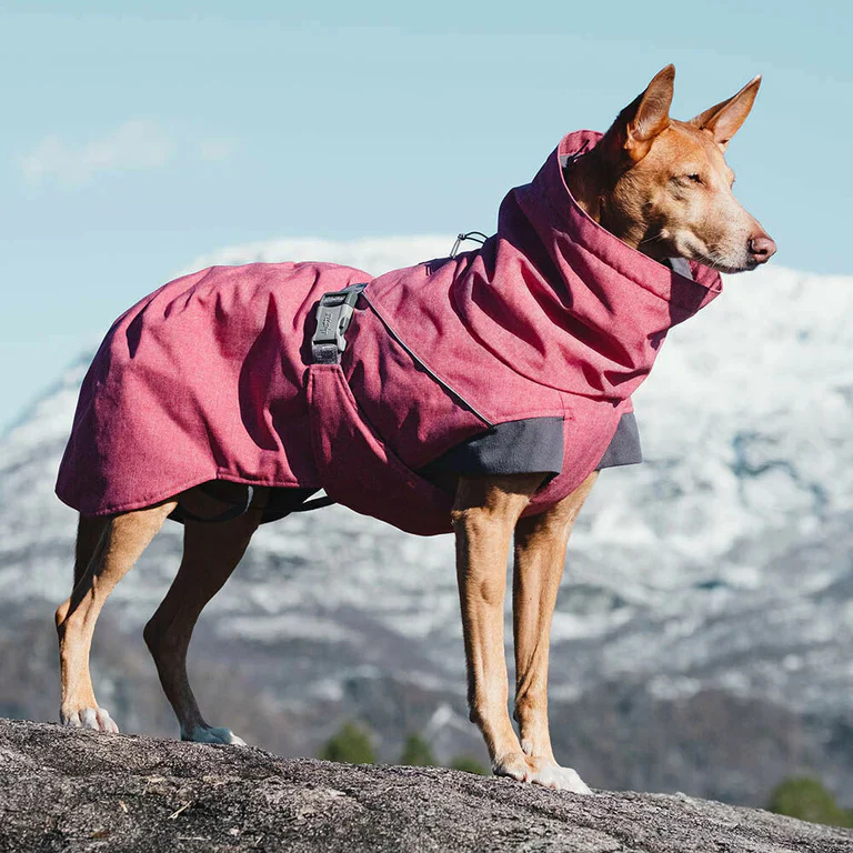 Hurtta Expedition Parka - Vinterdækken til Hunde i flere flotte farver - Image 14